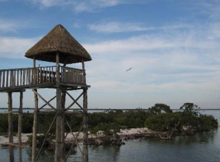 Isla pajaros